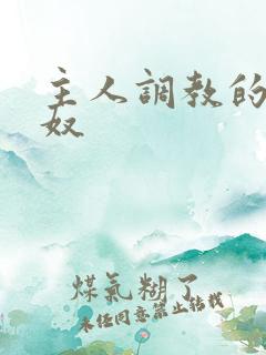 主人调教的小男奴