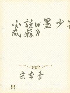 小说w墨少宠妻成瘾》