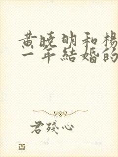 黄晓明和杨颖哪一年结婚的