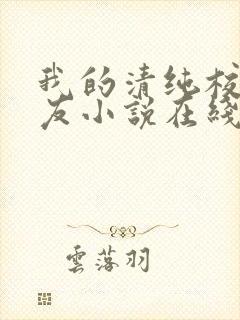 我的清纯校花女友小说在线阅读