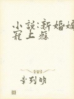 小说:新婚娇妻宠上瘾