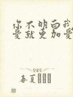 你不明白我说不爱就更加爱什么歌