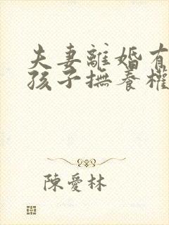 夫妻离婚有两个孩子抚养权怎么判定