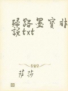 归路墨宝非宝小说txt