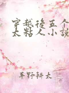 穿越后五个大佬太粘人小说