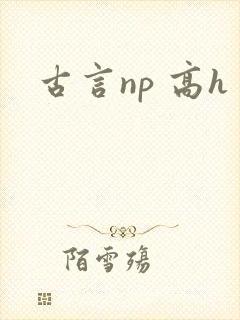 古言np 高h