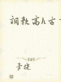 调教高h古言