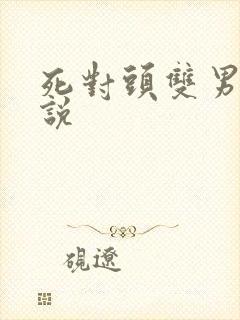 死对头双男主小说