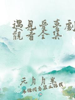 遇见爱台剧免费观看全集