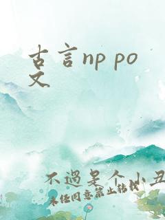 古言np po文