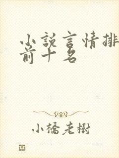 小说言情排行榜前十名