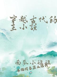 穿越古代的双男主小说