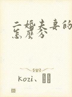 二婚夫妻的财产怎么分