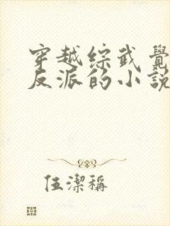 穿越综武觉醒大反派的小说