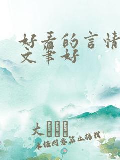 好看的言情小说文笔好