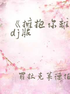 《拥抱你离去》dj版