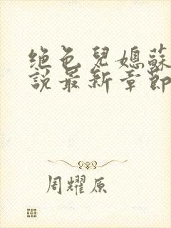 绝色儿媳苏婉小说最新章节内容