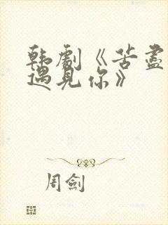 韩剧《苦尽甘来遇见你》