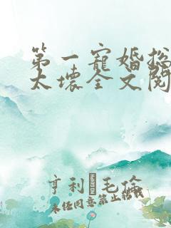 第一宠婚总裁别太坏全文阅读免费阅读