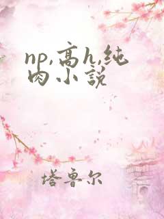 np,高h,纯肉小说