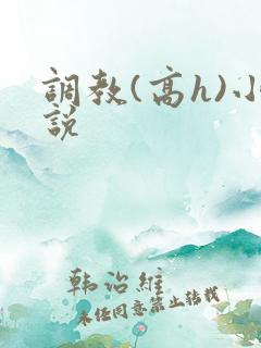 调教(高h)小说