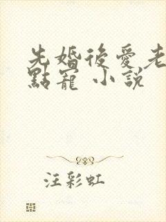 先婚后爱老公轻点宠 小说