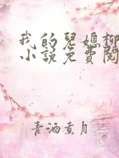 我的儿媳柳如烟小说免费阅读