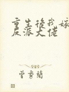 重生后我嫁给了反派大佬