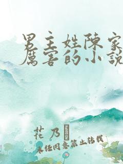 男主姓陈家族很厉害的小说