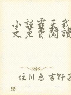 小说霸天武魂全文免费阅读