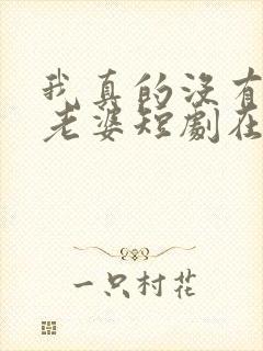 我真的没有七个老婆短剧在线观看