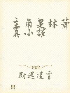 主角是林萧的修真小说