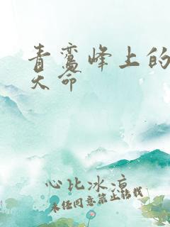 青鸾峰上的无敌天命