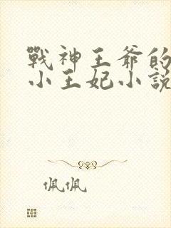 战神王爷的调皮小王妃小说免费阅读