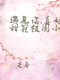 遇见你,真好:甜宠校园小说集电子书