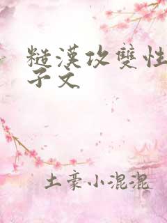 糙汉攻双性受生子文