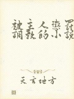 被主人惩罚玩弄调教的小说