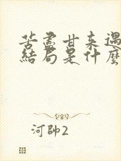 苦尽甘来遇见你结局是什么