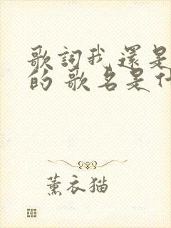 歌词我还是爱你的 歌名是什么