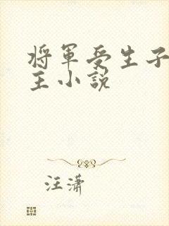 将军受生子双男主小说