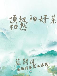 顶级神婿叶辰萧初然