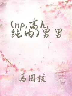 (np,高h,纯肉)男男