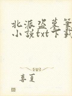 北派盗墓笔记 小说txt下载