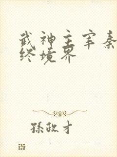 武神主宰秦尘最终境界
