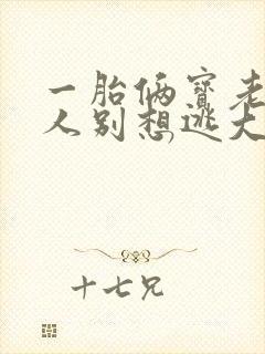 一胎俩宝老婆大人别想逃大结局