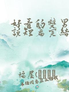 好看的双男主小说短篇完结