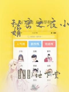 秘密之夜小说小娟