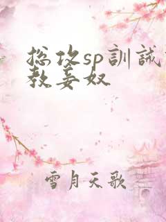 总攻sp训诫调教妾奴