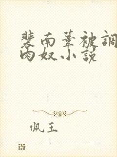 裴南苇被调教成肉奴小说