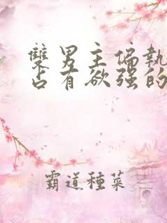 双男主偏执病态占有欲强的甜宠文